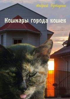 Андрей Буторин - Кошмары города кошек - Читать 📖 Читать онлайн 👀 Читаемые книги читать онлайн бесплатно 🔥 booksread-online.com