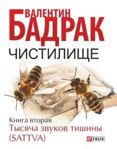 Валентин Бадрак - Чистилище. Книга 2. Тысяча звуков тишины (Sattva) - Читать 📖 Читать онлайн 👀 Читаемые книги читать онлайн бесплатно 🔥 booksread-online.com