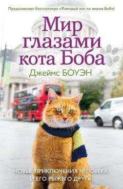 Джеймс Боуэн - Мир глазами кота Боба. Новые приключения человека и его рыжего друга - Читать 📖 Читать онлайн 👀 Читаемые книги читать онлайн бесплатно 🔥 booksread-online.com