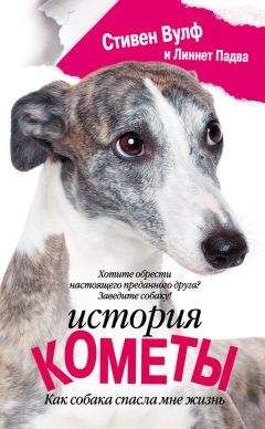 Стивен Вулф - История Кометы. Как собака спасла мне жизнь - Читать 📖 Читать онлайн 👀 Читаемые книги читать онлайн бесплатно 🔥 booksread-online.com