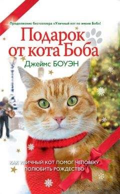 Джеймс Боуэн - Подарок от кота Боба. Как уличный кот помог человеку полюбить Рождество - Читать 📖 Читать онлайн 👀 Читаемые книги читать онлайн бесплатно 🔥 booksread-online.com