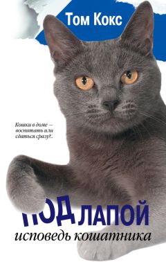 Том Кокс - Под лапой. Исповедь кошатника - Читать 📖 Читать онлайн 👀 Читаемые книги читать онлайн бесплатно 🔥 booksread-online.com