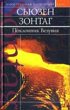 Сьюзен Зонтаг - Поклонник Везувия - Читать 📖 Читать онлайн 👀 Читаемые книги читать онлайн бесплатно 🔥 booksread-online.com