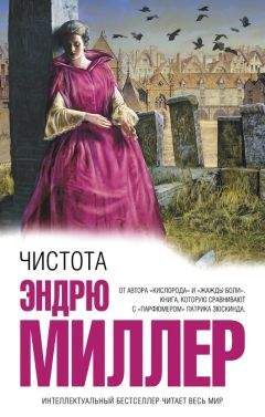 Эндрю Миллер - Чистота - Читать 📖 Читать онлайн 👀 Читаемые книги читать онлайн бесплатно 🔥 booksread-online.com