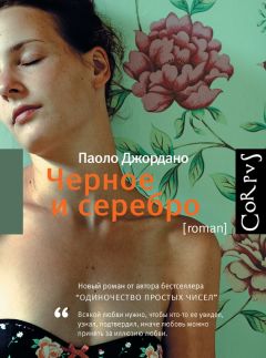 Паоло Джордано - Черное и серебро - Читать 📖 Читать онлайн 👀 Читаемые книги читать онлайн бесплатно 🔥 booksread-online.com