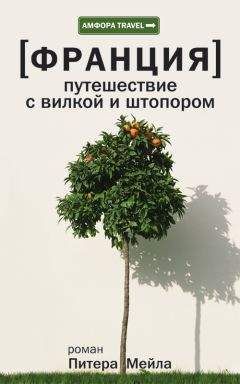 Питер Мейл - Путешествие с вилкой и штопором - Читать 📖 Читать онлайн 👀 Читаемые книги читать онлайн бесплатно 🔥 booksread-online.com