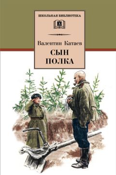 Валентин Катаев - Сын полка - Читать 📖 Читать онлайн 👀 Читаемые книги читать онлайн бесплатно 🔥 booksread-online.com