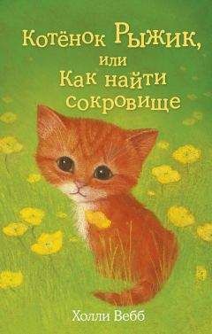 Холли Вебб - Котёнок Рыжик, или Как найти сокровище - Читать 📖 Читать онлайн 👀 Читаемые книги читать онлайн бесплатно 🔥 booksread-online.com