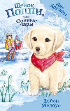 Дейзи Медоус - Щенок Поппи, или Сонные чары - Читать 📖 Читать онлайн 👀 Читаемые книги читать онлайн бесплатно 🔥 booksread-online.com