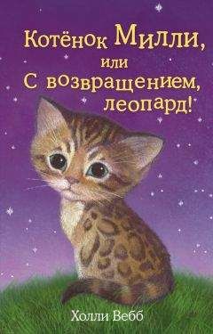 Холли Вебб - Котёнок Милли, или С возвращением, леопард! - Читать 📖 Читать онлайн 👀 Читаемые книги читать онлайн бесплатно 🔥 booksread-online.com