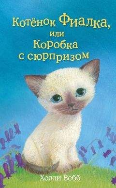 Холли Вебб - Котёнок Фиалка, или Коробка с сюрпризом - Читать 📖 Читать онлайн 👀 Читаемые книги читать онлайн бесплатно 🔥 booksread-online.com