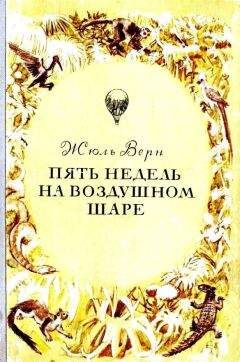 Жюль Габриэль Верн - Пять недель на воздушном шаре. Путешествие трех англичан по Африке - Читать 📖 Читать онлайн 👀 Читаемые книги читать онлайн бесплатно 🔥 booksread-online.com