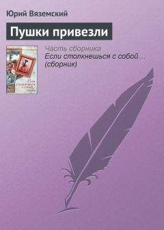 Юрий Вяземский - Пушки привезли - Читать 📖 Читать онлайн 👀 Читаемые книги читать онлайн бесплатно 🔥 booksread-online.com