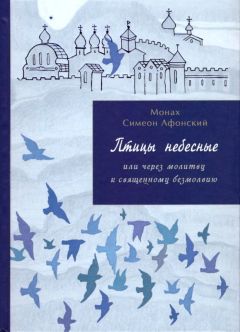 Монах Афонский - Птицы небесные. 3-4 части - Читать 📖 Читать онлайн 👀 Читаемые книги читать онлайн бесплатно 🔥 booksread-online.com