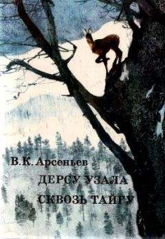Владимир Арсеньев - Сквозь тайгу - Читать 📖 Читать онлайн 👀 Читаемые книги читать онлайн бесплатно 🔥 booksread-online.com