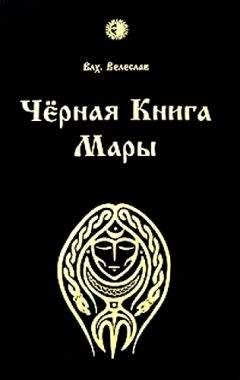 Илья Черкасов - Черная книга Мары - Читать 📖 Читать онлайн 👀 Читаемые книги читать онлайн бесплатно 🔥 booksread-online.com