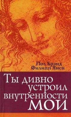 Пол Брэнд - Ты дивно устроил внутренности мои - Читать 📖 Читать онлайн 👀 Читаемые книги читать онлайн бесплатно 🔥 booksread-online.com