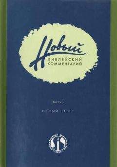 Дональд Карсон - Новый Библейский Комментарий Часть 3 (Новый Завет) - Читать 📖 Читать онлайн 👀 Читаемые книги читать онлайн бесплатно 🔥 booksread-online.com