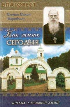 Игумен Никон - Как жить сегодня (Письма о духовной жизни) - Читать 📖 Читать онлайн 👀 Читаемые книги читать онлайн бесплатно 🔥 booksread-online.com