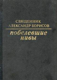 Александр Борисов - Побелевшие нивы - Читать 📖 Читать онлайн 👀 Читаемые книги читать онлайн бесплатно 🔥 booksread-online.com