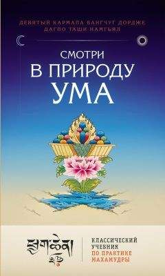 Вангчуг Дордже - Смотри в природу ума. Классический учебник по практике Махамудры - Читать | Читать онлайн | Читаемые книги читать онлайн бесплатно | booksread-online.com