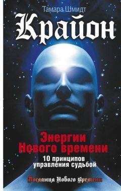 Тамара Шмидт - Крайон. Энергии Нового времени. 10 принципов управления судьбой - Читать 📖 Читать онлайн 👀 Читаемые книги читать онлайн бесплатно 🔥 booksread-online.com