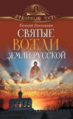 Евгений Поселянин - Святые вожди земли русской - Читать 📖 Читать онлайн 👀 Читаемые книги читать онлайн бесплатно 🔥 booksread-online.com