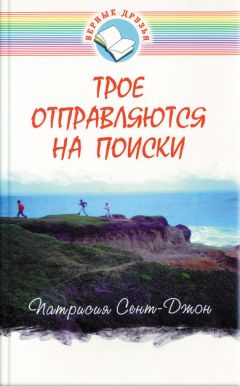 Патрисия Сент-Джон - Трое отправляются на поиски - Читать 📖 Читать онлайн 👀 Читаемые книги читать онлайн бесплатно 🔥 booksread-online.com