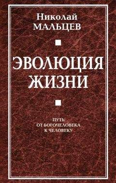 Николай Мальцев - Эволюция жизни. Путь от Богочеловека к человеку - Читать 📖 Читать онлайн 👀 Читаемые книги читать онлайн бесплатно 🔥 booksread-online.com