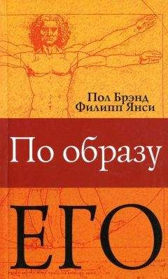 Пол Брэнд - По образу Его - Читать 📖 Читать онлайн 👀 Читаемые книги читать онлайн бесплатно 🔥 booksread-online.com