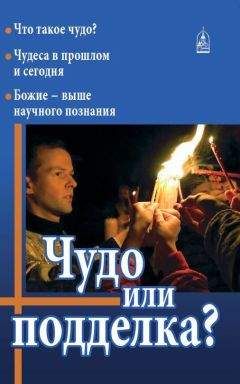 Николай Колчуринский - Чудо или подделка? - Читать 📖 Читать онлайн 👀 Читаемые книги читать онлайн бесплатно 🔥 booksread-online.com
