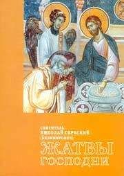 Николай Сербский (Велимирович) - Жатвы Господни - Читать 📖 Читать онлайн 👀 Читаемые книги читать онлайн бесплатно 🔥 booksread-online.com