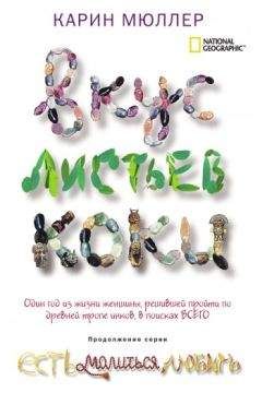 Карин Мюллер - Вкус листьев коки - Читать 📖 Читать онлайн 👀 Читаемые книги читать онлайн бесплатно 🔥 booksread-online.com
