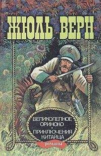 Жюль Верн - Великолепное Ориноко - Читать | Читать онлайн | Читаемые книги читать онлайн бесплатно | booksread-online.com