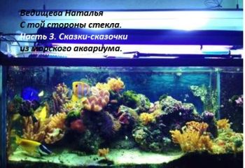 Наталья Ведищева - Сказки-сказочки - Читать 📖 Читать онлайн 👀 Читаемые книги читать онлайн бесплатно 🔥 booksread-online.com