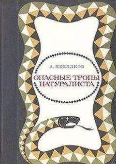 Аркадий Недялков - Опасные тропы натуралиста (Записки ловца змей) - Читать 📖 Читать онлайн 👀 Читаемые книги читать онлайн бесплатно 🔥 booksread-online.com