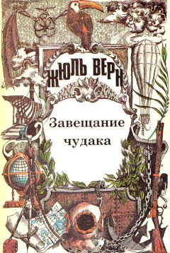 Жюль Верн - Завещание чудака - Читать | Читать онлайн | Читаемые книги читать онлайн бесплатно | booksread-online.com