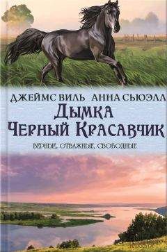 Анна Сьюэлл - Дымка. Черный Красавчик (сборник) - Читать | Читать онлайн | Читаемые книги читать онлайн бесплатно | booksread-online.com
