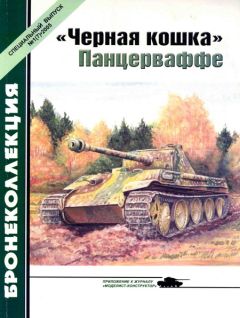 М. Барятинский - «Черная кошка» Панцерваффе - Читать 📖 Читать онлайн 👀 Читаемые книги читать онлайн бесплатно 🔥 booksread-online.com