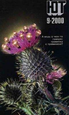 Журнал «Юный техник» - Юный техник, 2000 № 09 - Читать 📖 Читать онлайн 👀 Читаемые книги читать онлайн бесплатно 🔥 booksread-online.com