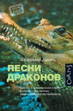 Владимир Динец - Песни драконов. Любовь и приключения в мире крокодилов и прочих динозавровых родственников - Читать 📖 Читать онлайн 👀 Читаемые книги читать онлайн бесплатно 🔥 booksread-online.com