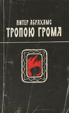 Питер Абрахамс - Тропою грома - Читать 📖 Читать онлайн 👀 Читаемые книги читать онлайн бесплатно 🔥 booksread-online.com