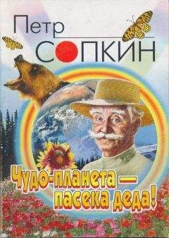 Петр Сопкин - Чудо-планета - пасека деда! - Читать 📖 Читать онлайн 👀 Читаемые книги читать онлайн бесплатно 🔥 booksread-online.com