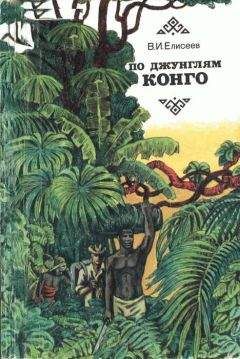 Василий Елисеев - По джунглям Конго (Записки геолога) - Читать 📖 Читать онлайн 👀 Читаемые книги читать онлайн бесплатно 🔥 booksread-online.com