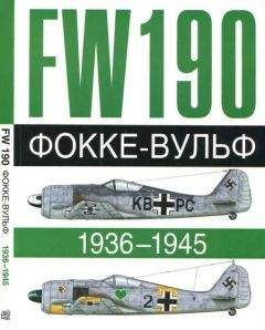 Доменик Бреффор - Фокке-Вульф Fw 190, 1936-1945 - Читать 📖 Читать онлайн 👀 Читаемые книги читать онлайн бесплатно 🔥 booksread-online.com