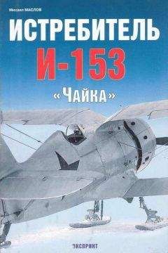 Михаил Маслов - Истребитель И-153 «Чайка» - Читать | Читать онлайн | Читаемые книги читать онлайн бесплатно | booksread-online.com