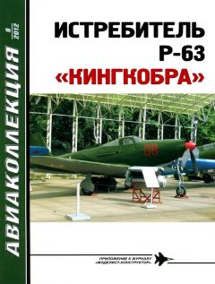 В. Котельников - ИСТРЕБИТЕЛЬ P-63 «КИНГКОБРА» - Читать 📖 Читать онлайн 👀 Читаемые книги читать онлайн бесплатно 🔥 booksread-online.com