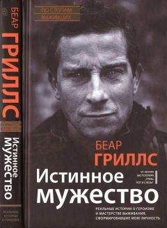 Беар Гриллс - Истинное мужество. Реальные истории о героизме и мастерстве выживания, сформировавшие мою личность - Читать 📖 Читать онлайн 👀 Читаемые книги читать онлайн бесплатно 🔥 booksread-online.com