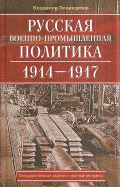 Владимир Поликарпов - Русская военно-промышленная политика. 1914—1917. Государственные задачи и частные интересы. - Читать 📖 Читать онлайн 👀 Читаемые книги читать онлайн бесплатно 🔥 booksread-online.com