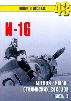 С. Иванов - И-16 Боевой «ишак» сталинских соколов. Часть 3 - Читать | Читать онлайн | Читаемые книги читать онлайн бесплатно | booksread-online.com